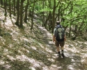 rheinsteig_tag4_07