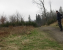 sauerland-waldroute03
