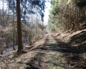 Wildnis-Trail-Tag3-2