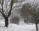 naturpark_ebbegebirge_4793