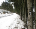 zueschener_mythen_und_sagenweg07