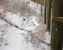 zueschener_mythen_und_sagenweg08
