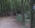 ronsdorfer_talsperre-_gelpeundsaalbachtal13