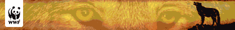 468 X 60