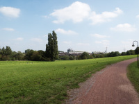Gastbeitrag: Test Merrell True Glove - Düsseldorf Volksgarten - 1