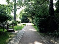 Gastbeitrag: Test Merrell True Glove - Düsseldorf Volksgarten - 6