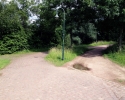 Gastbeitrag: Test Merrell True Glove - Düsseldorf Volksgarten - 4