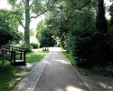 Gastbeitrag: Test Merrell True Glove - Düsseldorf Volksgarten - 6