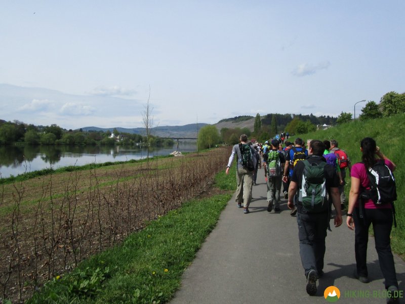 24-Stunden-Wanderung-Moselsteig-03