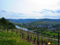 24-Stunden-Wanderung-Moselsteig-04