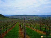 24-Stunden-Wanderung-Moselsteig-07