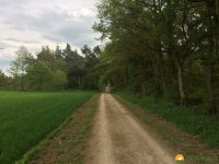 24-Stunden-Wanderung-Moselsteig-15