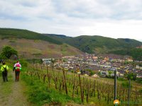 24-Stunden-Wanderung-Moselsteig-17