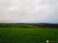 24-Stunden-Wanderung-Moselsteig-22