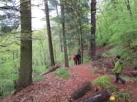 24-Stunden-Wanderung-Moselsteig-24
