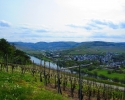 24-Stunden-Wanderung-Moselsteig-04
