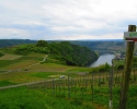 24-Stunden-Wanderung-Moselsteig-10