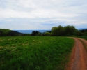 24-Stunden-Wanderung-Moselsteig-11