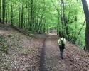 24-Stunden-Wanderung-Moselsteig-12