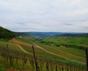 24-Stunden-Wanderung-Moselsteig-14