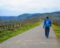 24-Stunden-Wanderung-Moselsteig-05