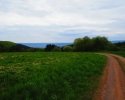 24-Stunden-Wanderung-Moselsteig-11