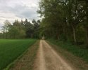 24-Stunden-Wanderung-Moselsteig-15