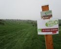 24-Stunden-Wanderung-Moselsteig-23