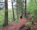 24-Stunden-Wanderung-Moselsteig-24