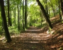 outdoor_fotos_herbst