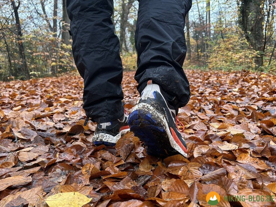 Adidas-Terrex-Free-Hiker-2-0-Test-12