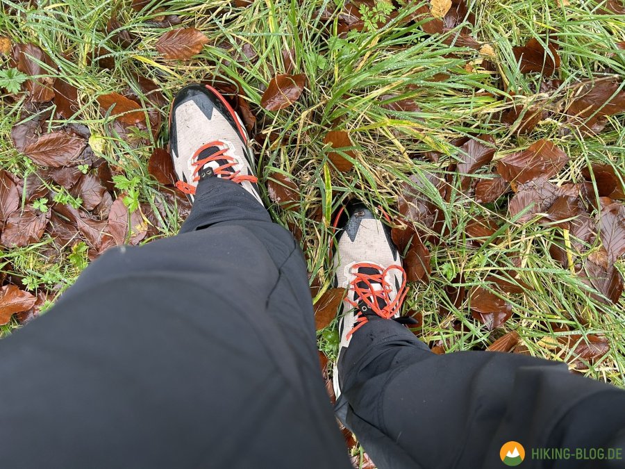 Adidas-Terrex-Free-Hiker-2-0-Test-21