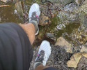 Adidas-Terrex-Speed-Ultra-Test-19