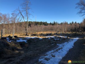 Auf-den-Hoehen-des-Ebbegebirge-06
