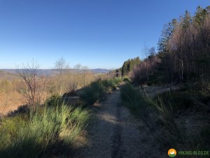 Auf-den-Hoehen-des-Ebbegebirge-08