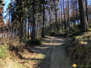 Auf-den-Hoehen-des-Ebbegebirge-09