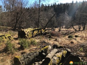 Auf-den-Hoehen-des-Ebbegebirge-16