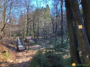 Auf-den-Hoehen-des-Ebbegebirge-17