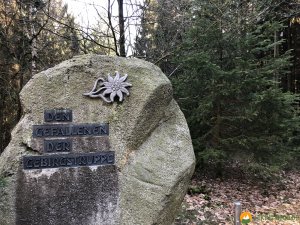 Auf-den-Hoehen-des-Ebbegebirge-19