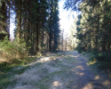 Auf-den-Hoehen-des-Ebbegebirge-07