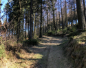 Auf-den-Hoehen-des-Ebbegebirge-09