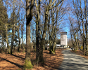 Auf-den-Hoehen-des-Ebbegebirge-11