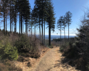 Auf-den-Hoehen-des-Ebbegebirge-13