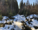 Auf-den-Hoehen-des-Ebbegebirge-14