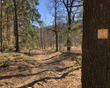 Auf-den-Hoehen-des-Ebbegebirge-15