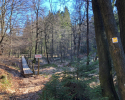 Auf-den-Hoehen-des-Ebbegebirge-17