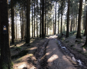 Auf-den-Hoehen-des-Ebbegebirge-18
