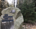 Auf-den-Hoehen-des-Ebbegebirge-19