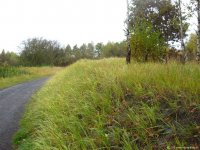 aufdiebergemeinerkindheit_10