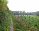 aufdiebergemeinerkindheit_16